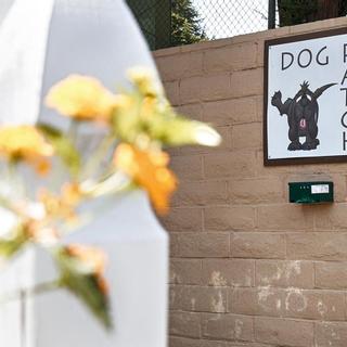 Best Western Danville Sycamore Inn | Danville, California | Dog patch