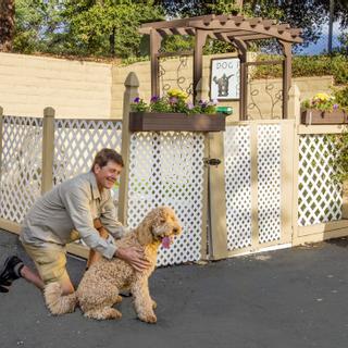 Best Western Danville Sycamore Inn | Danville, California | Man and dog in front of dog patch
