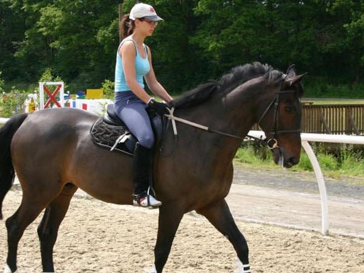 Best Western Danville Sycamore Inn | Danville, California | 5