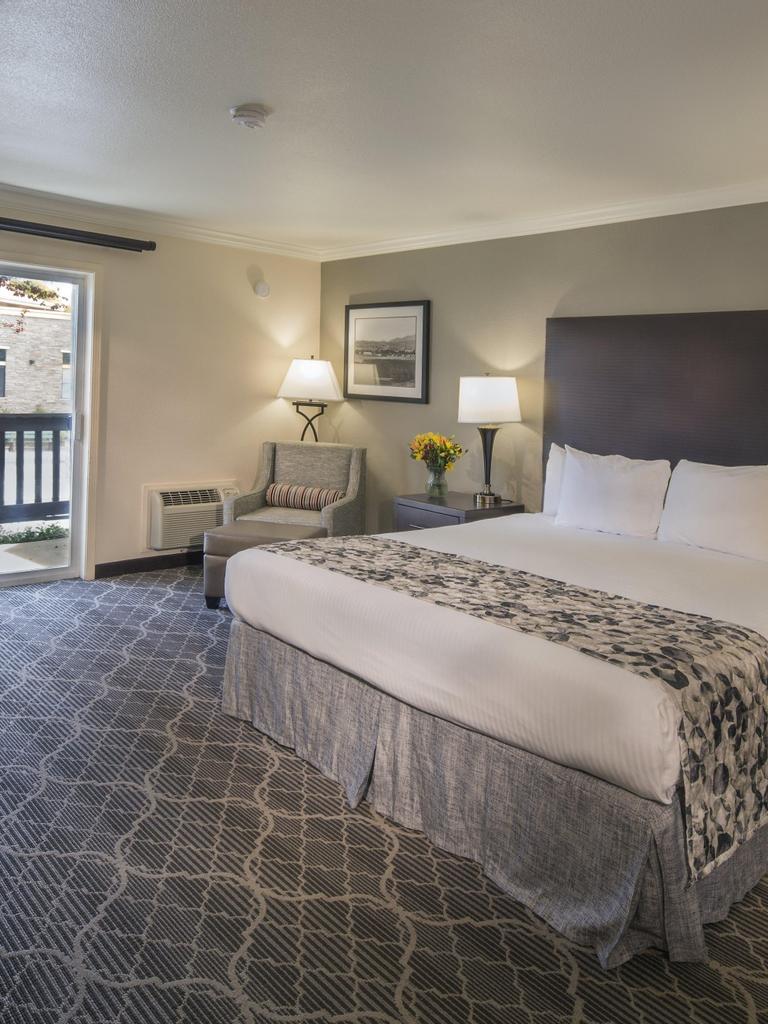 Do Best Westerns Allow Dogs