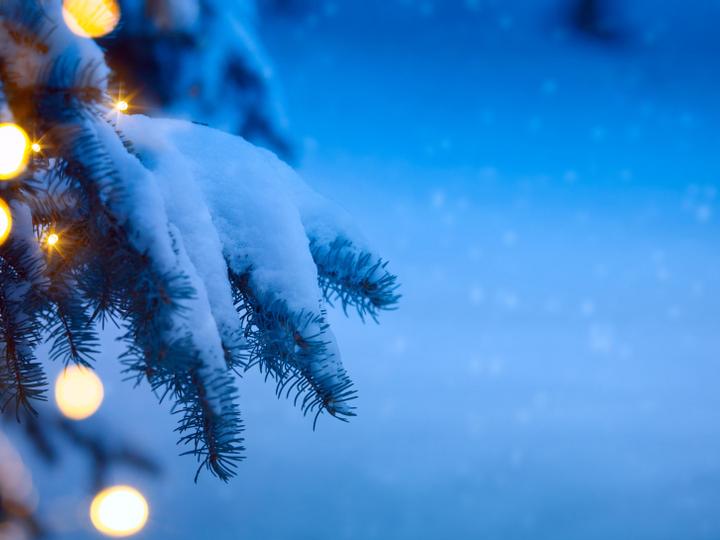 Best Western Danville Sycamore Inn | Danville, California | 4